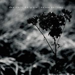 Desiderii Marginis - Seven Sorrows